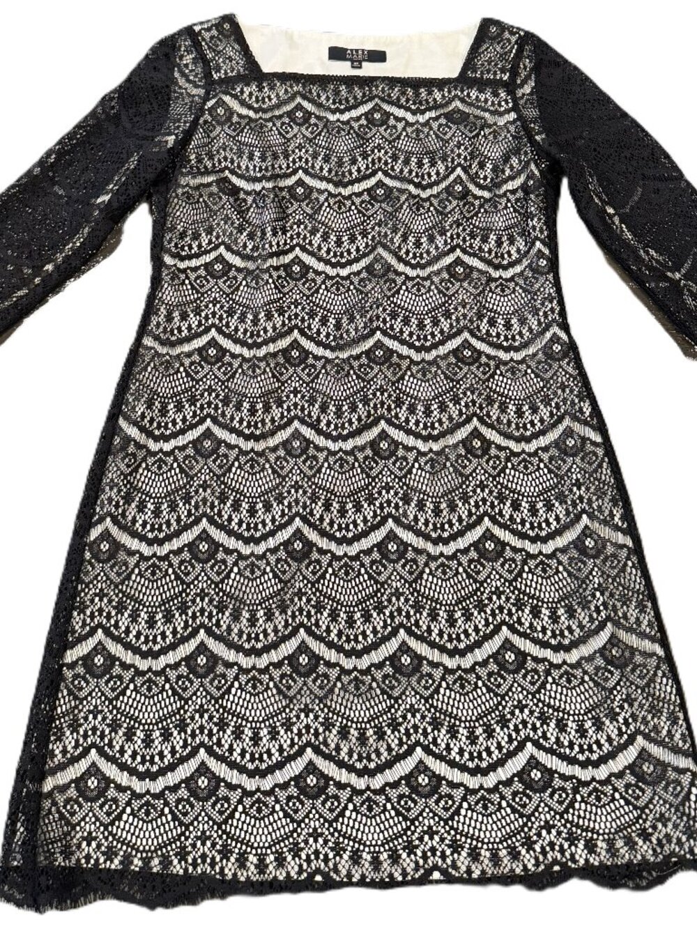 Alex Marie Petites Women’s Ivory Black Floral Lace Cocktail Dress 4P
